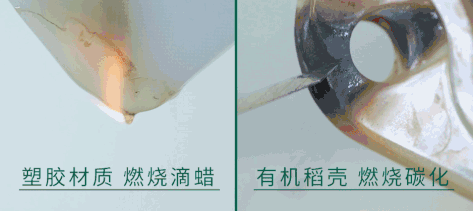 RTSrV2xBxG3uYS?from=pc