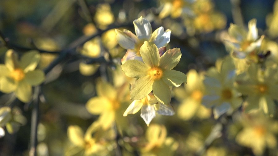 Ru2ZfG42vH6Uaa?from=pc