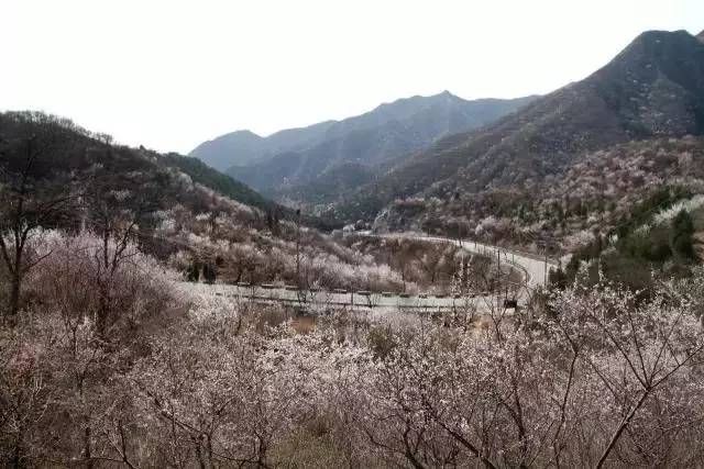 关于大力推进大众创业万众创新的实施意见