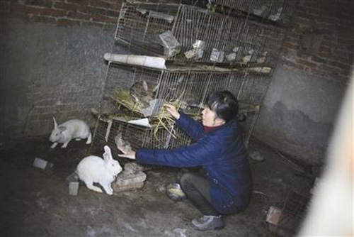 农村10个利润较高的项目，或许有一个能成为你的出路