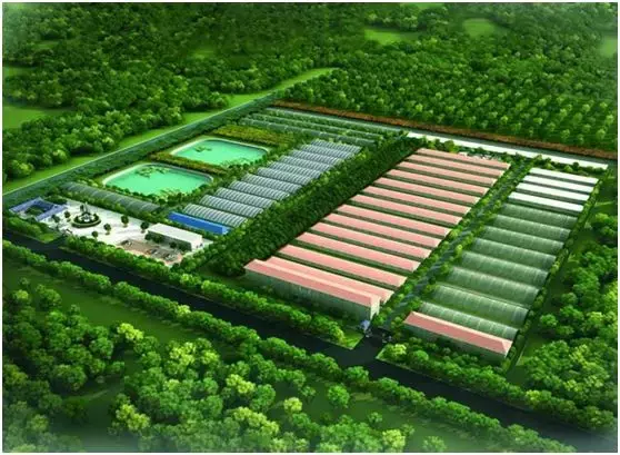 这四个农业项目可了不得 都是国家支持的重点农业项目！