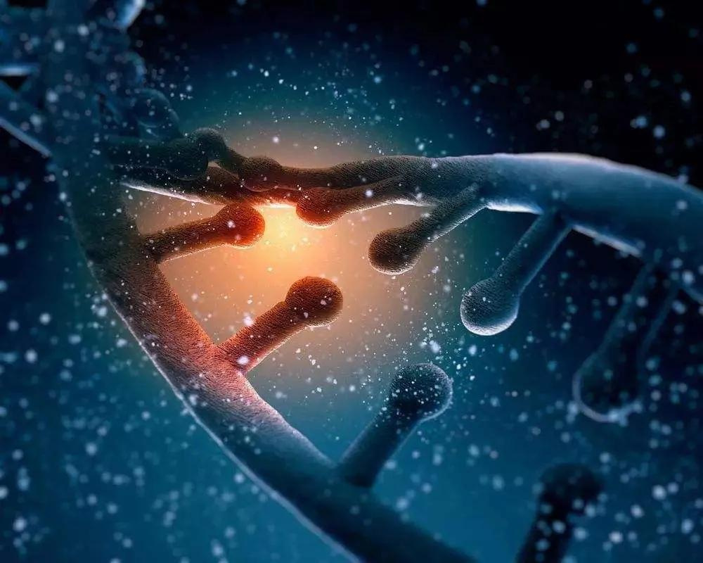 ​滴滴、多多、美团新三团“百亿补贴”究竟图个啥？