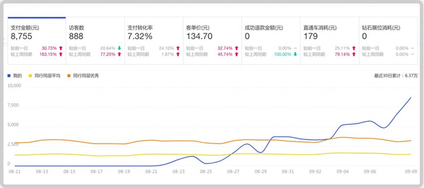 淘宝店铺7天访客爆涨秘籍