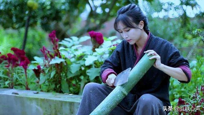 全面解析自媒体、短视频、直播电商、新零售，零基础也能涨知识