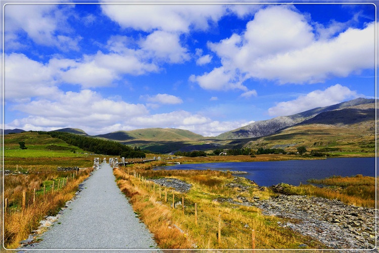 一个46岁的创业失败者，想回农村搞养殖，有哪些方面要注意的？