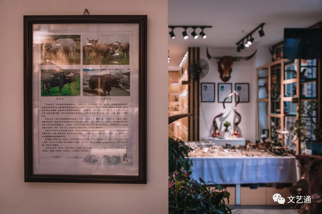 49d940291afe441eb4e9423052a82cc9