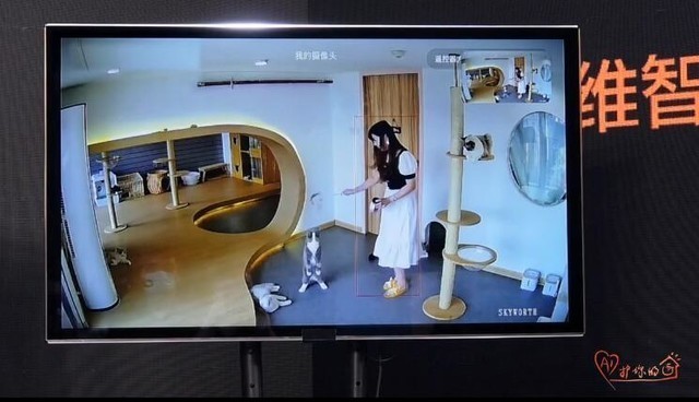 4a7546affe2f4b1bad92732525df52df?from=pc