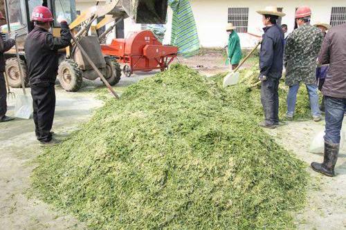 农村10个利润较高的项目，或许有一个能成为你的出路