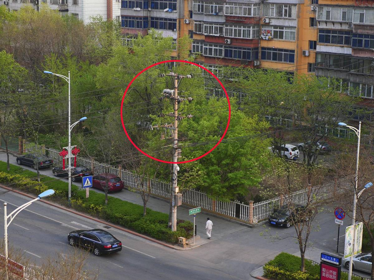 5bf8dd4e20f94ec6a51f5982f036ecaa?from=pc