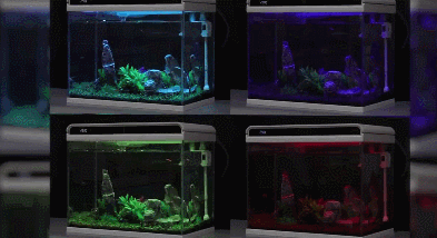 6eb6e037b3824c588a2a6ad20fa81ddc?from=pc