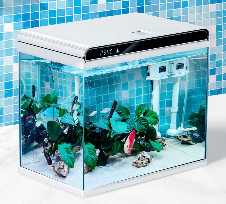 906c007fd6344df5874c9832566753f1?from=pc