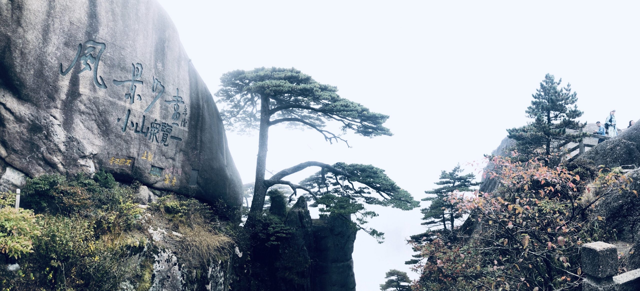 RgArObv5HHNfWE?from=pc