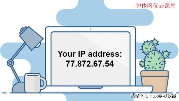 Linux系统怎么使用命令行查询公网IP地址