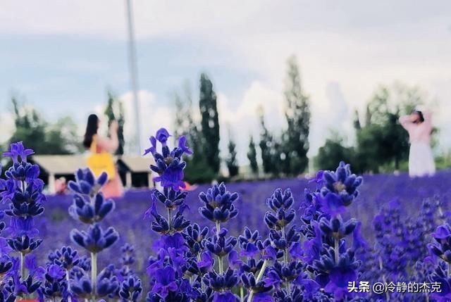 bb9181efef24438389fc8a6d3b919571?from=pc