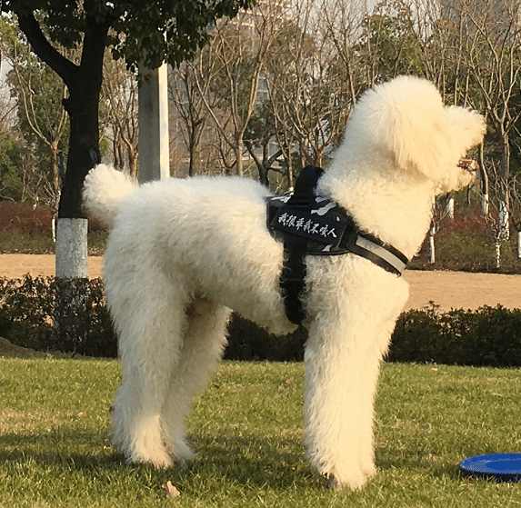 c4642cb6dc9c41e0b92824e33974eaef?from=pc