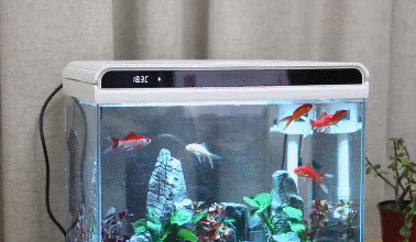 ce060e6231f74706b7120e0810f7a5ab?from=pc