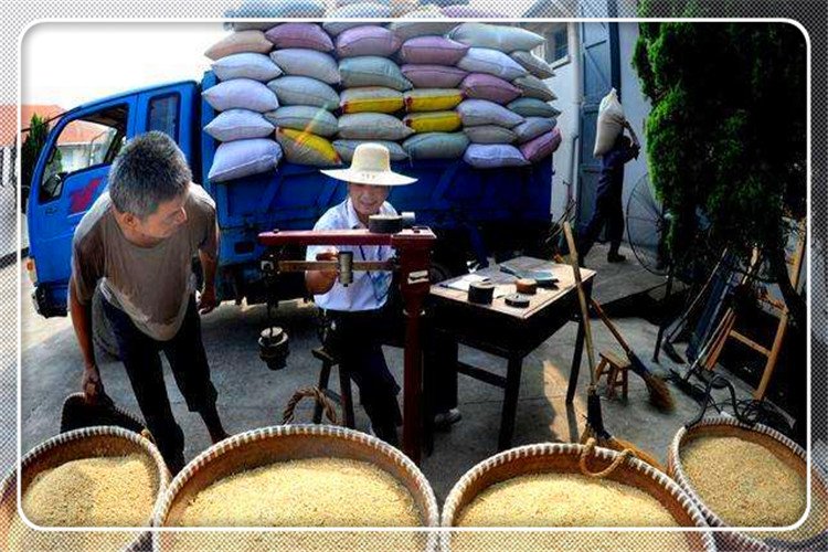 一个52岁的人在农村，可以做哪些小生意，收入比外出打工强？