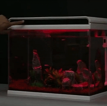 dd9bd6e329bd45dcb57460bb443d46e7?from=pc