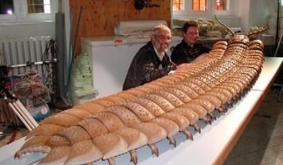 世界上最大的蜈蚣在什么地方出现？