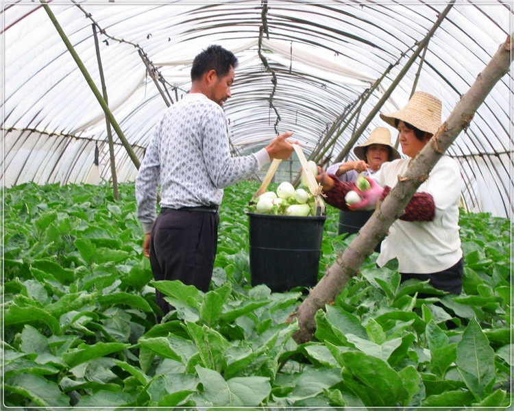 40岁的人，明年外出打工还是留在农村创业？分析一下