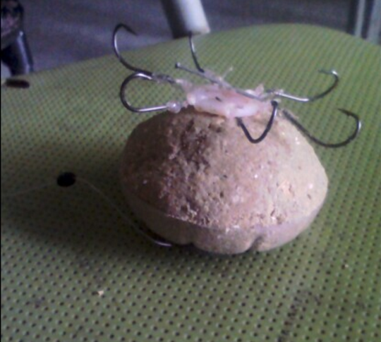 翻板钓法之盒饭钩：介绍硬线盒饭做法