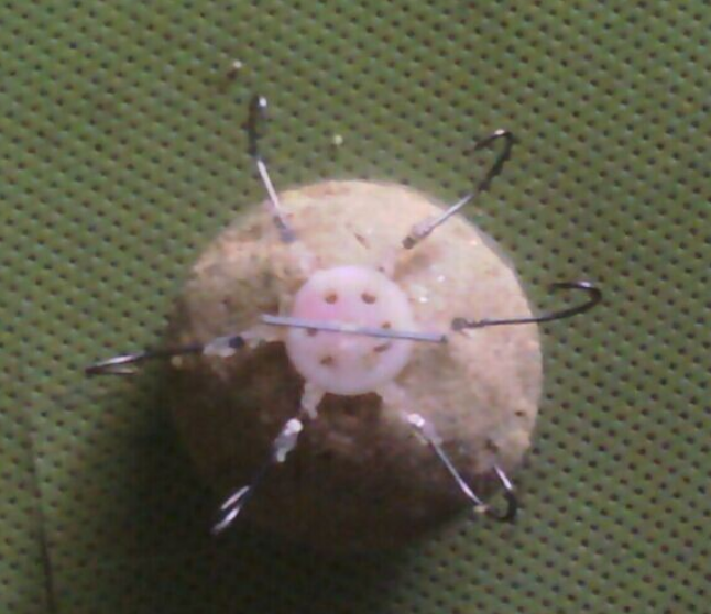 翻板钓法之盒饭钩：介绍硬线盒饭做法