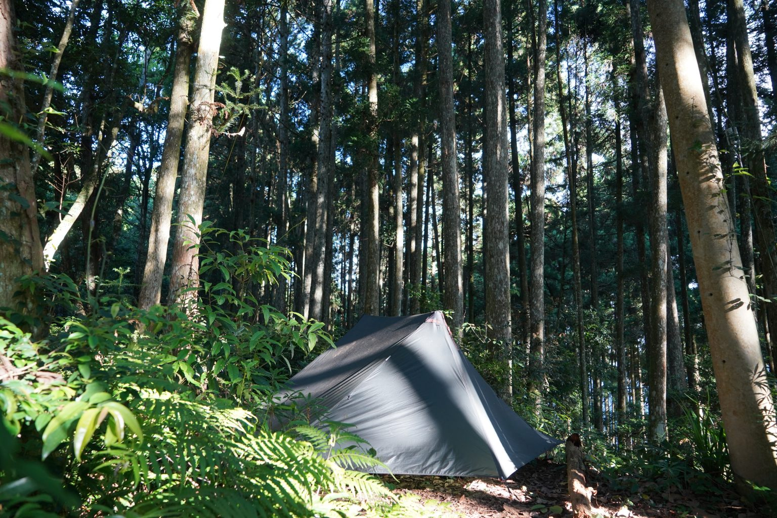 17105912b1764607928f5c065b56e630?from=pc