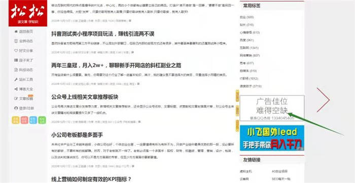 第一次尝试在卢松松博客投放广告：预计带来近10W的收入 卢松松博客 经验心得 第1张