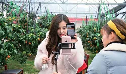 一个完整的微信视频号直播带货方案该如何策划？ 视频号 经验心得 第3张