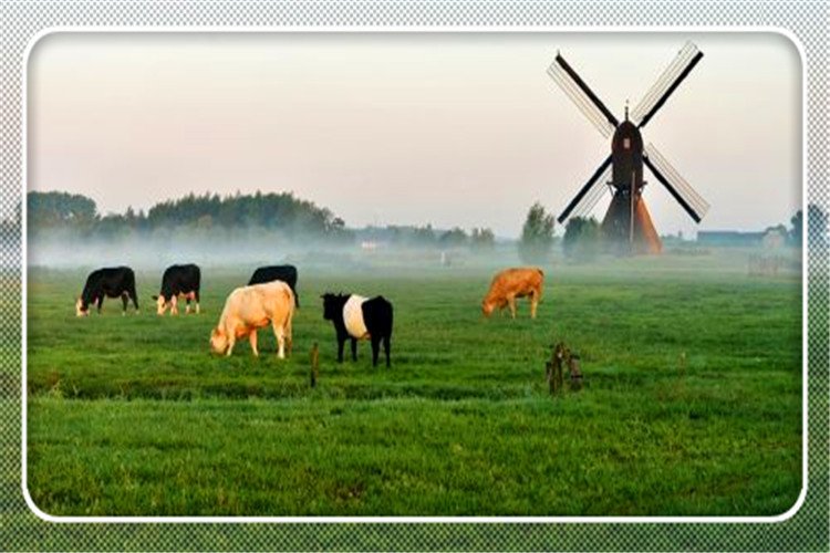 注意，第二轮土地承包延期试点工作已经开始，新农村发展的风向标