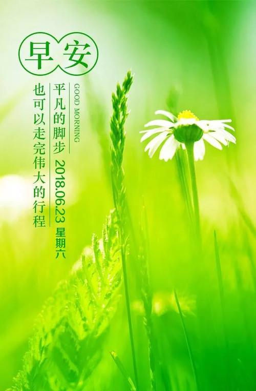 青春励志的句子，简短文艺，适合发朋友圈的阳光短句