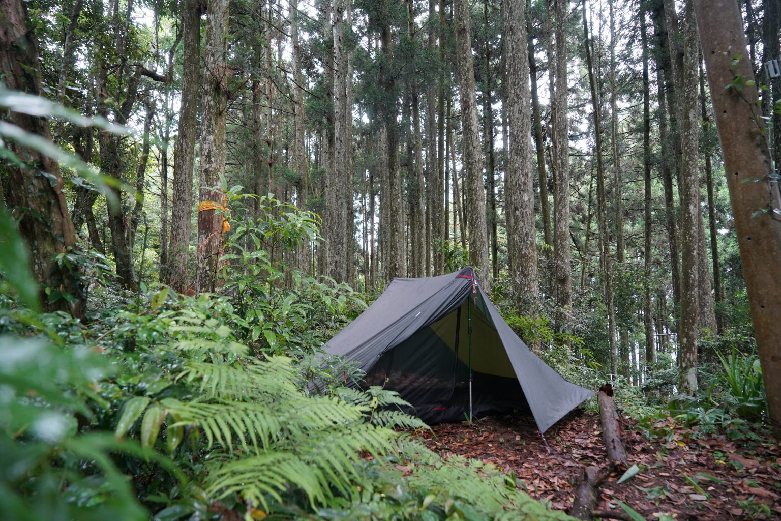 40dc5da8789345b1b5d06b9c20924121?from=pc