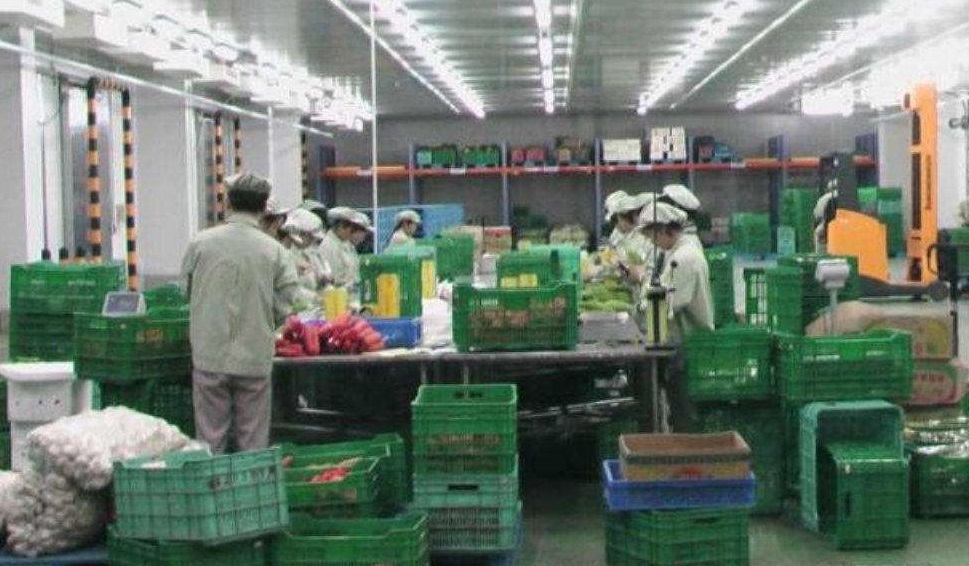 菜店老板简直是商业鬼才！买3万送10万，每个月净赚20万