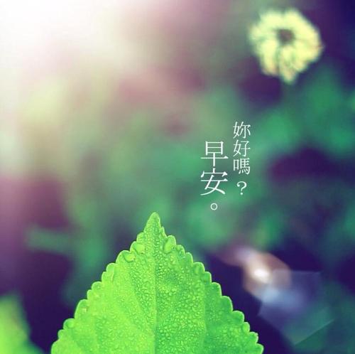 青春励志的句子，简短文艺，适合发朋友圈的阳光短句