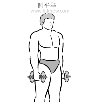 全套哑铃锻炼方法图解 值得你收藏