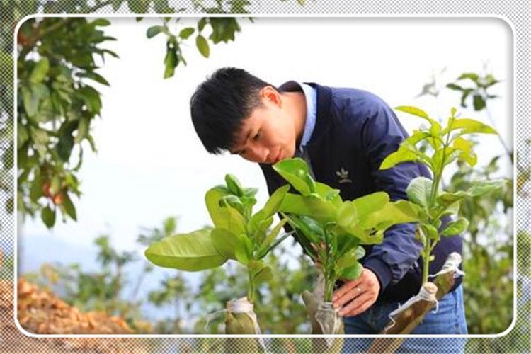 注意，第二轮土地承包延期试点工作已经开始，新农村发展的风向标