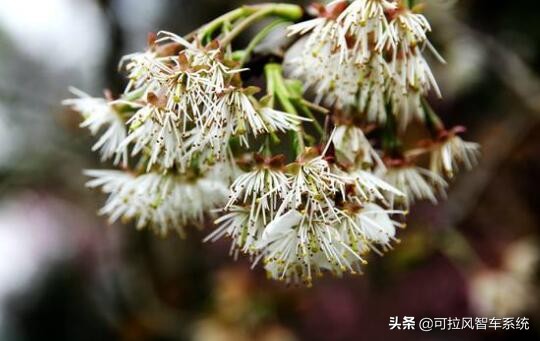 74ff47f7d35b4c4da5fa59be5a7e4350?from=pc