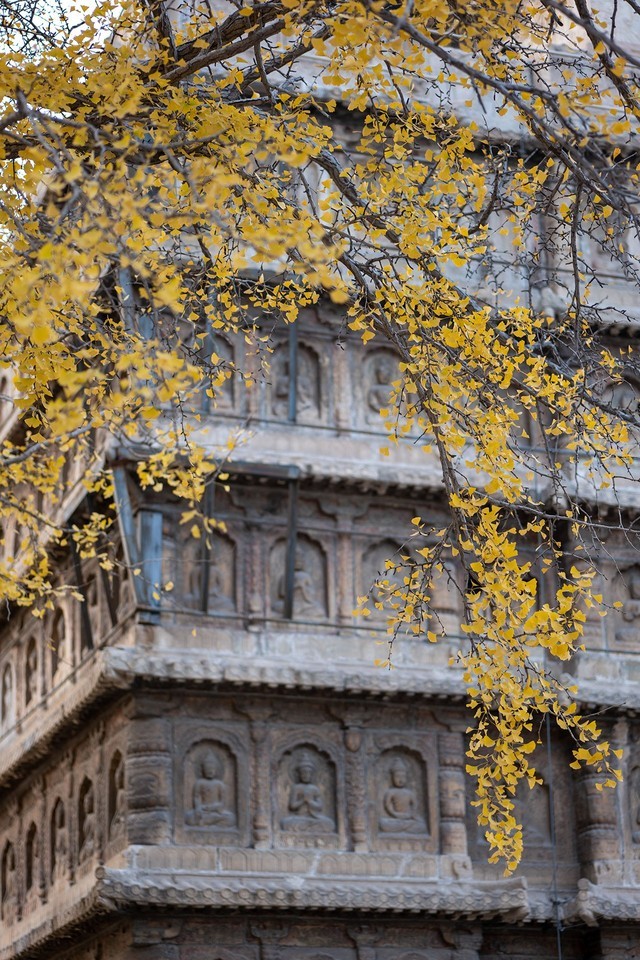 好用不贵的大光圈 松下LUMIXS 85mm F1.8评测