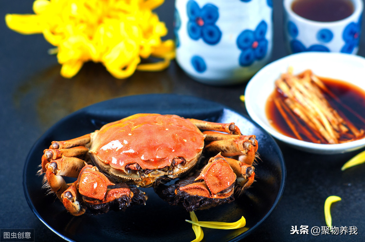 喜欢吃的人来看看如何评价美食