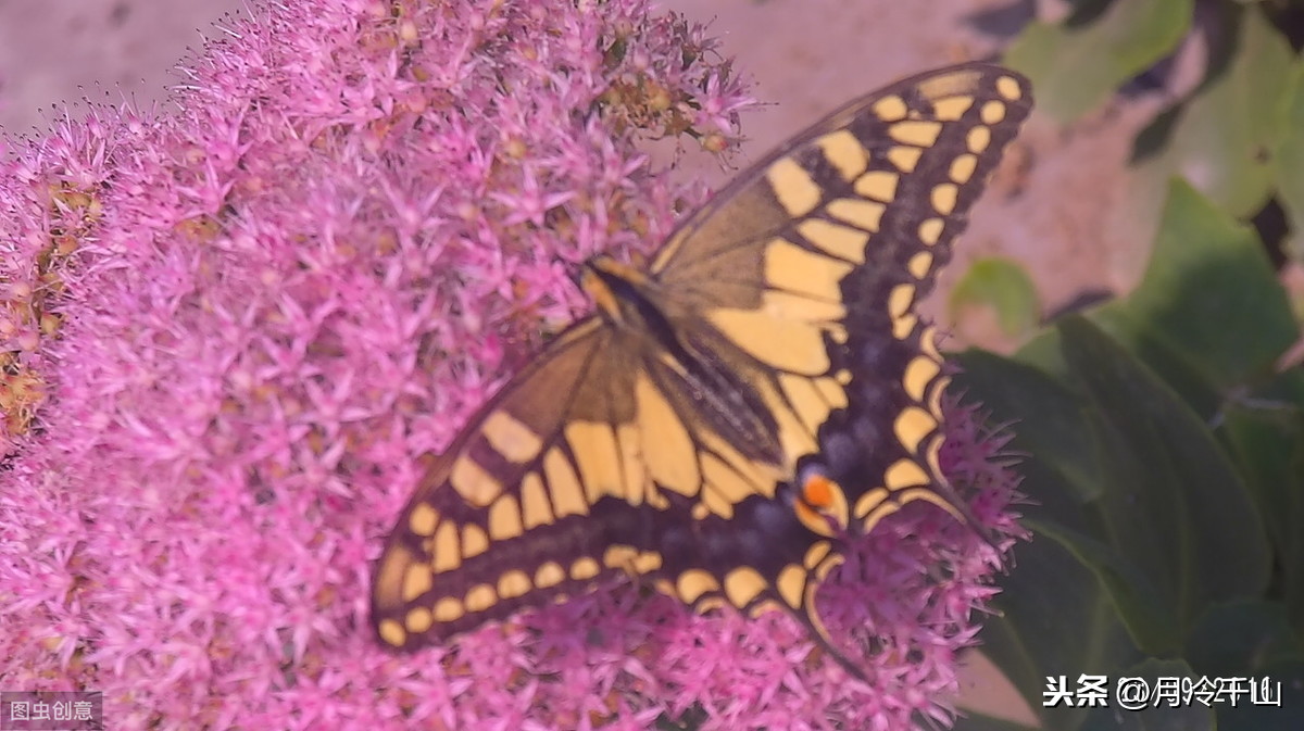 宁缺毋滥的爱情观