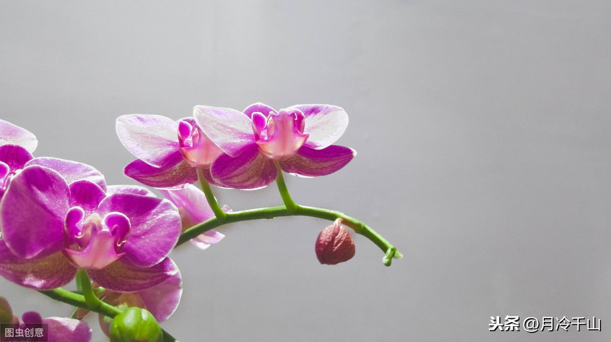 宁缺毋滥的爱情观