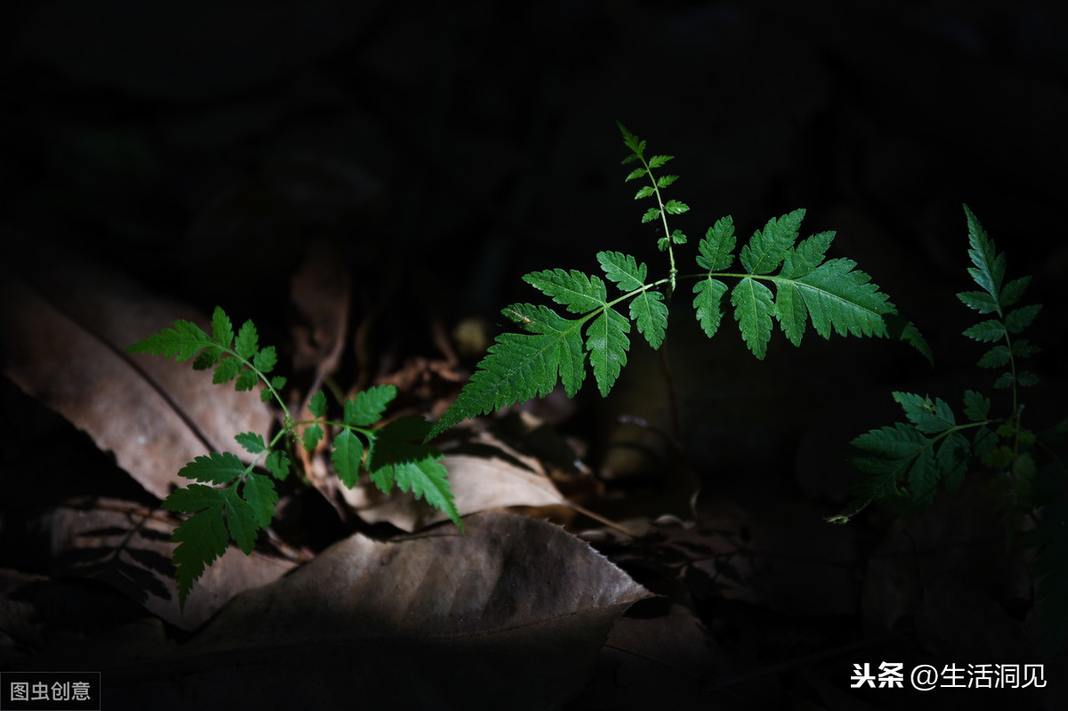 一个人开始颓废的时候，往往会有这三个显性特征，你中了几个呢？