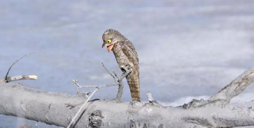 对于社区团购，除了愤怒，我们该做什么？