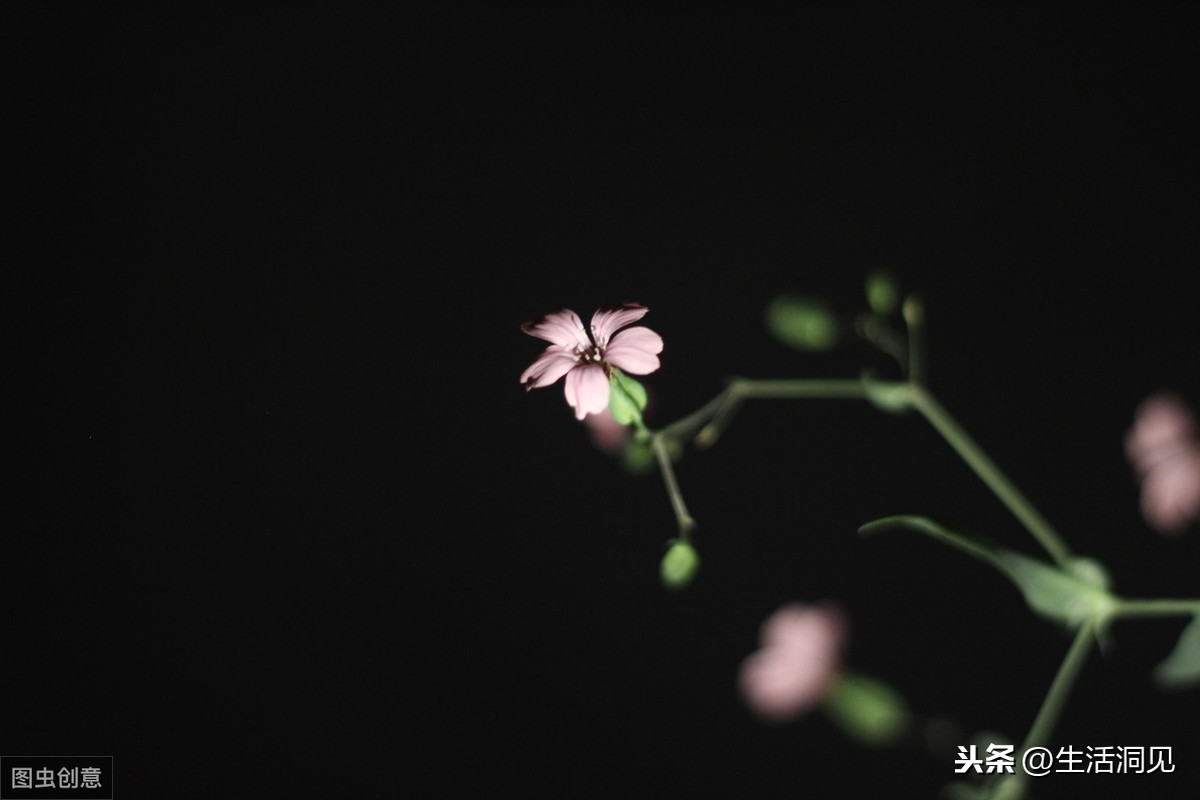 一个人开始颓废的时候，往往会有这三个显性特征，你中了几个呢？