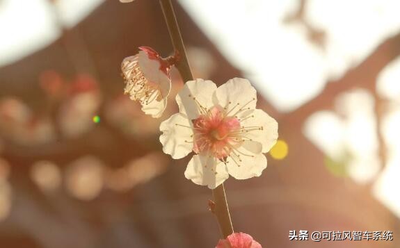 daa1234045e8475fb147a024f8c27623?from=pc