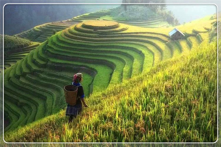 注意，第二轮土地承包延期试点工作已经开始，新农村发展的风向标