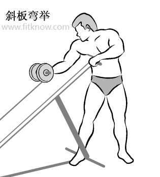 全套哑铃锻炼方法图解 值得你收藏