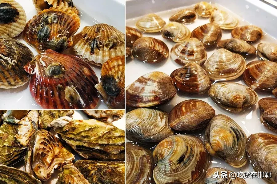 好伦哥人和店升级，自助餐+新品火锅特价39.9元位，就三天！