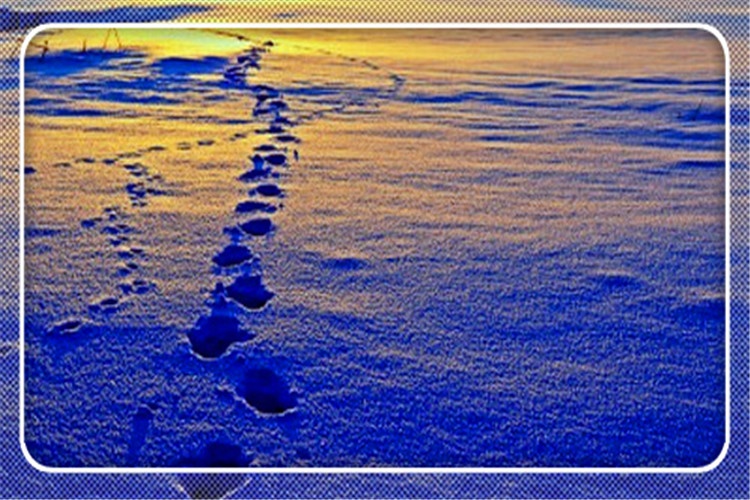 当前形势下，对于创业失败者而言，是否还有翻身的机会？