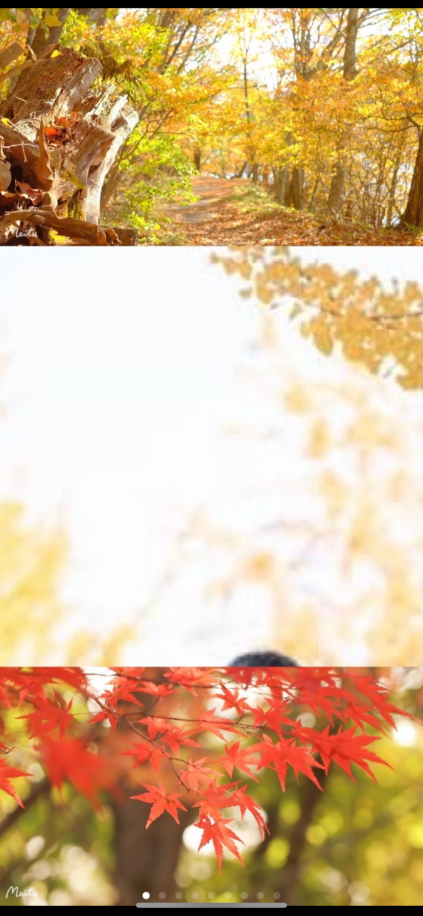 拍了照片要会晒，今天教大家如何在朋友圈晒出不一样的照片